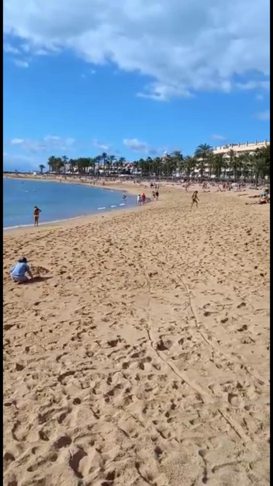 Chill Out Tenerife Sud - Monolocale Con Piscina Riscaldata 德尔锡伦西奥海岸 外观 照片